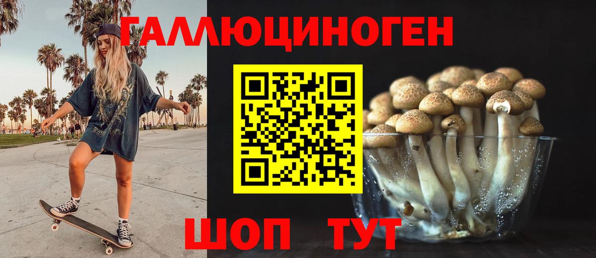 Псилоцибиновые грибы GOLDEN TEACHER  Галлюциногенные грибы Psilocybe  наркошоп  Пыть-Ях  Вход с VPN 